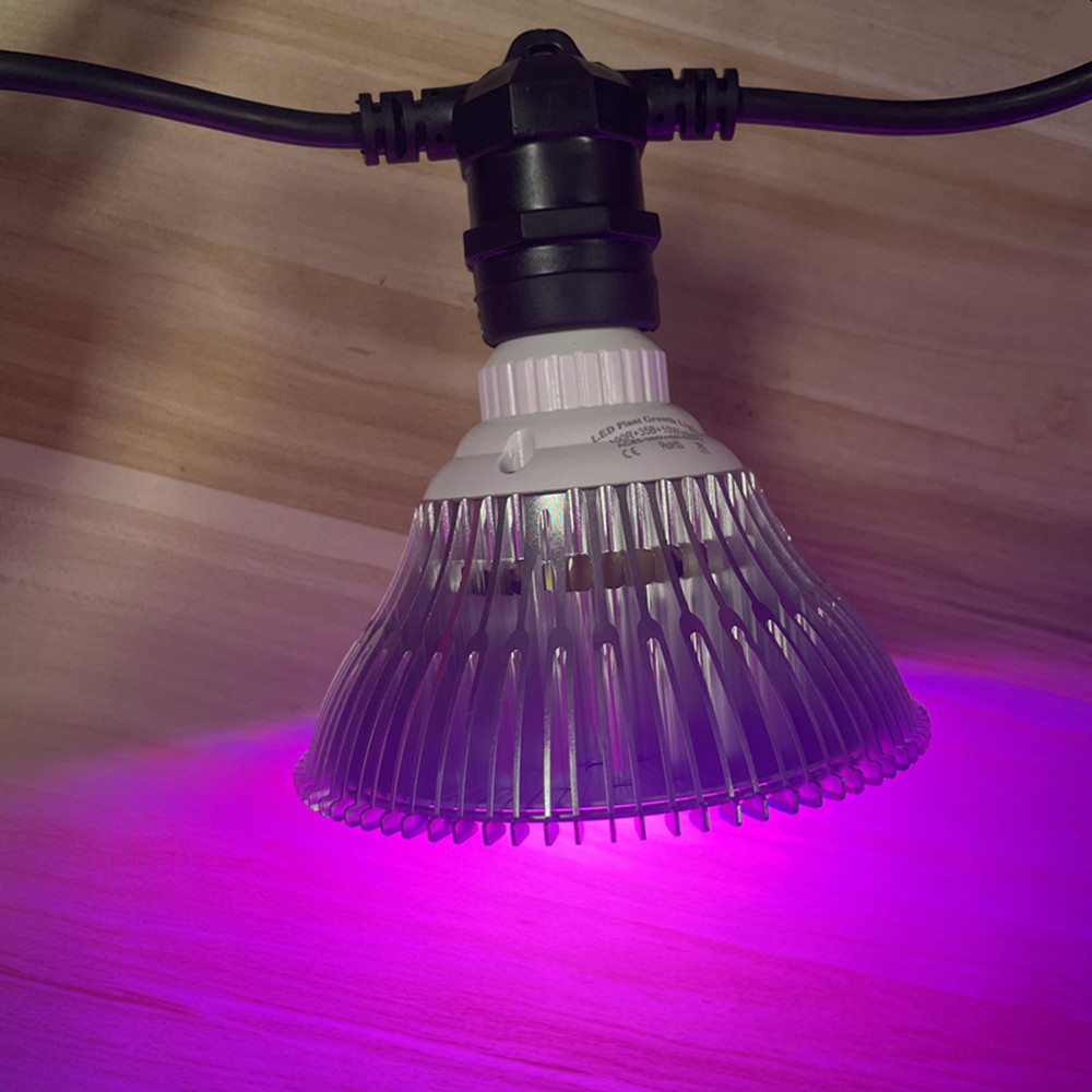 10M Cable LED String Commercia - đánh giá và giá Outdoor Lighting Ideas