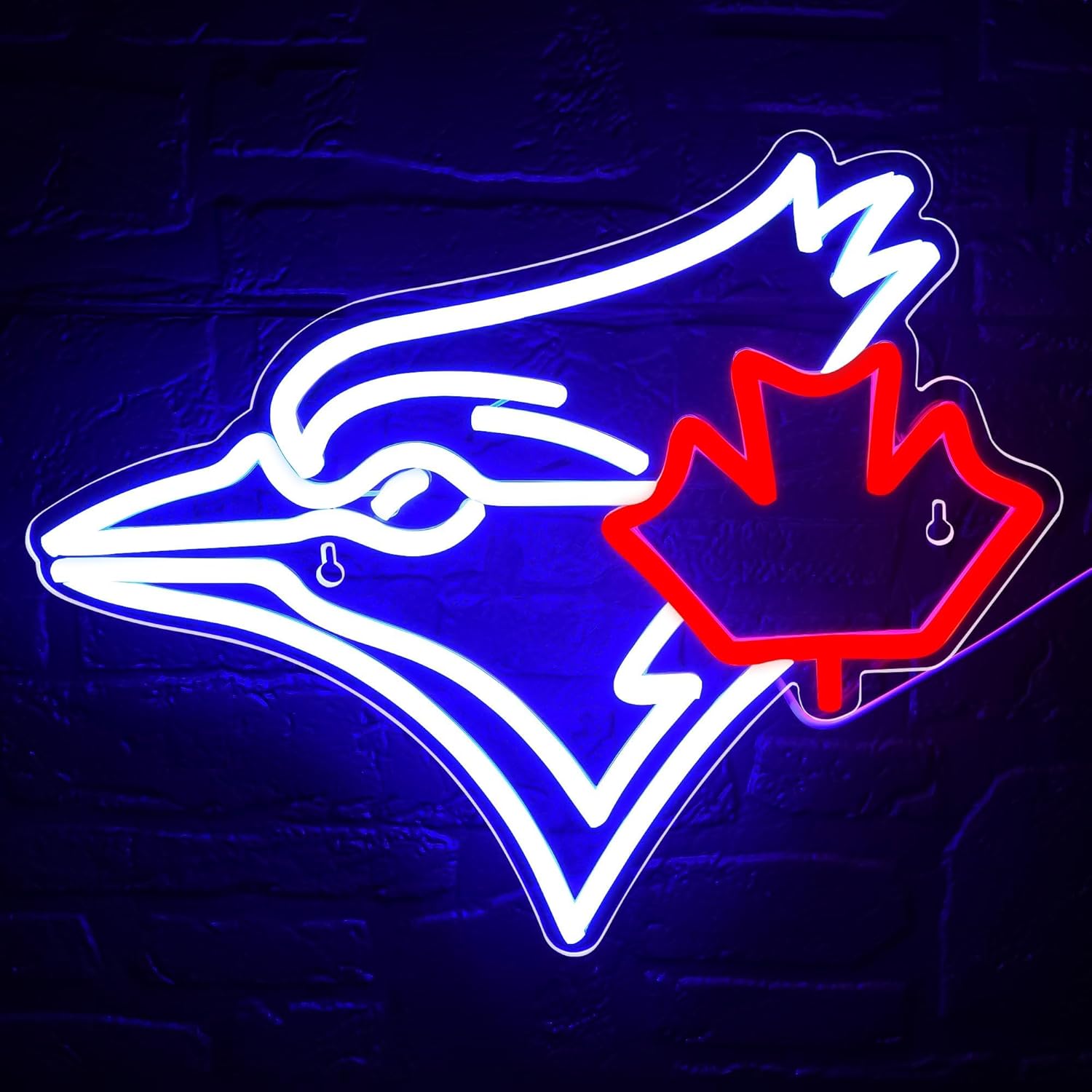 USB Dimmable Blue Jay with Map - đánh giá và giá Outdoor Lighting Canada