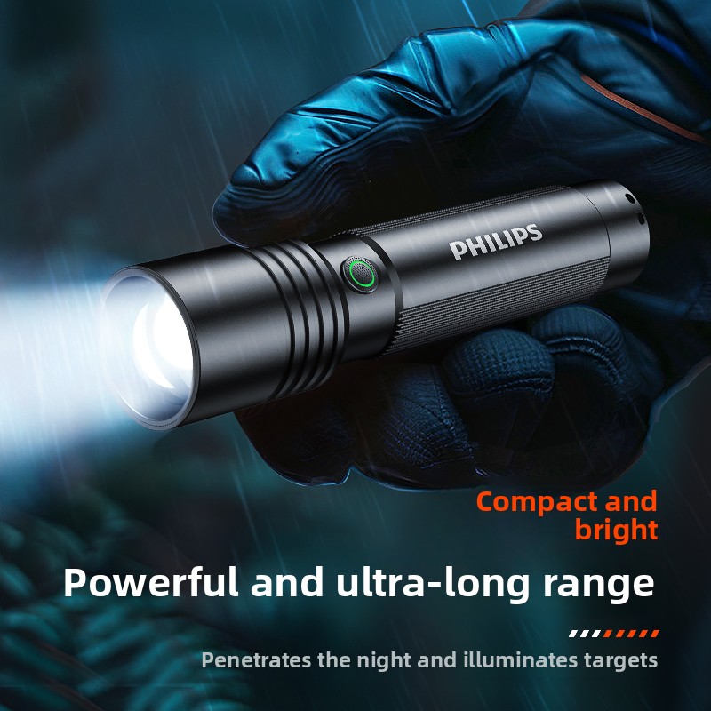 Home & Outdoor Philips SFL2146 - đánh giá và giá Outdoor Lighting Philips