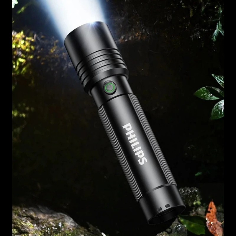 Home & Outdoor Philips SFL2146 - đánh giá và giá Outdoor Lighting Philips